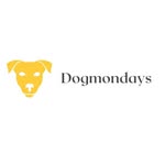 DogMondays